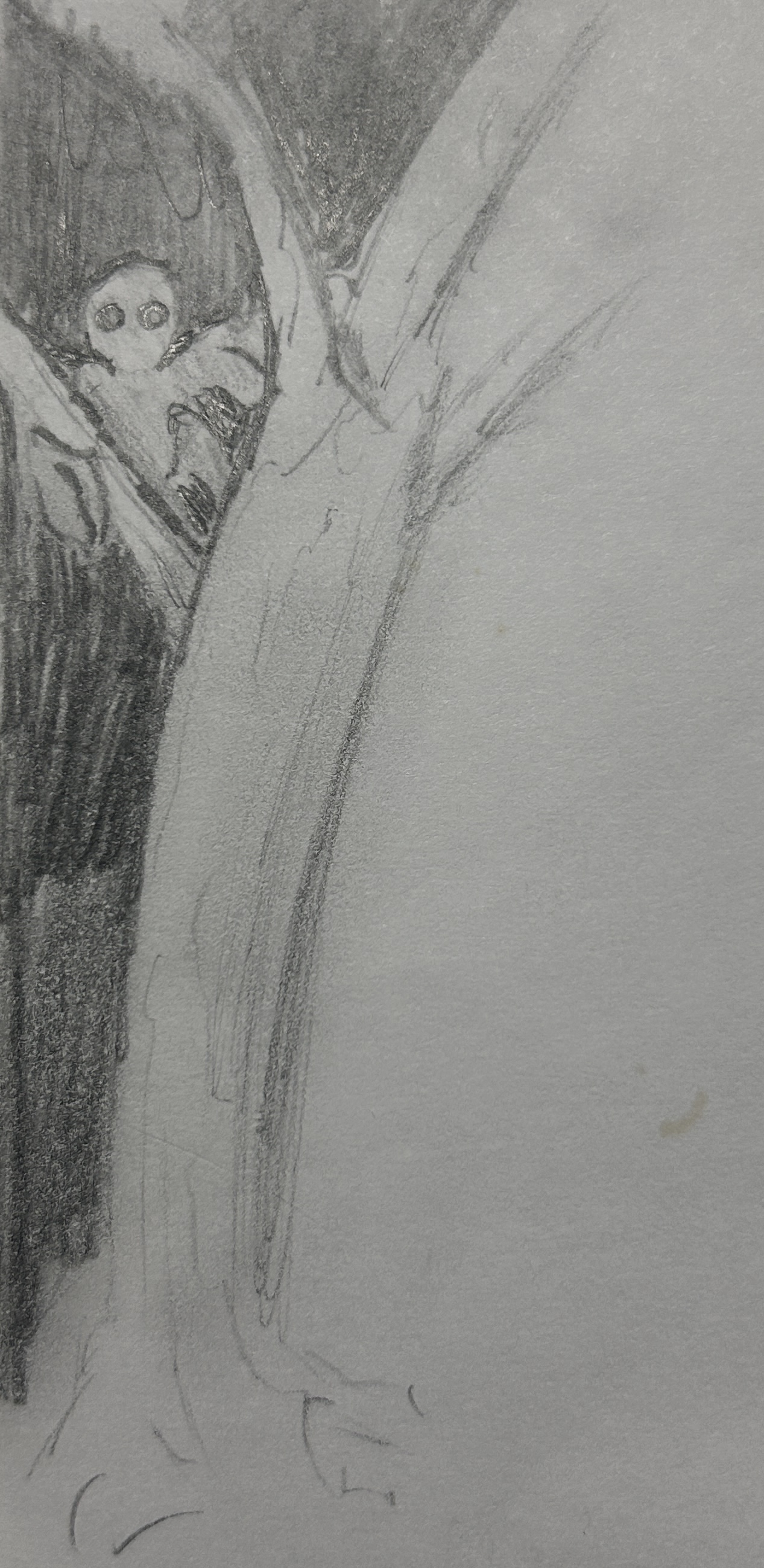 The watcher in the tree